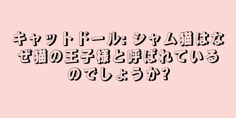 キャットドール: シャム猫はなぜ猫の王子様と呼ばれているのでしょうか?