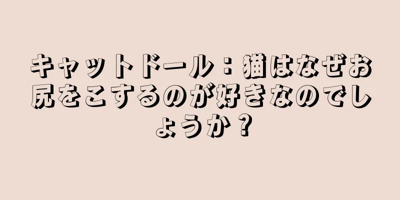 キャットドール：猫はなぜお尻をこするのが好きなのでしょうか？