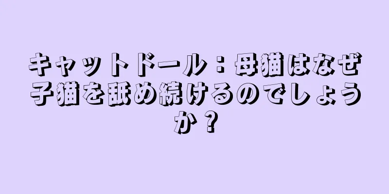 キャットドール：母猫はなぜ子猫を舐め続けるのでしょうか？