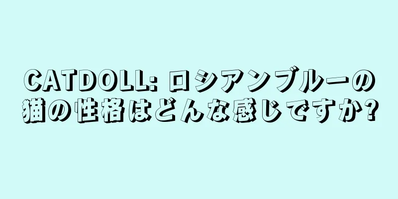 CATDOLL: ロシアンブルーの猫の性格はどんな感じですか?