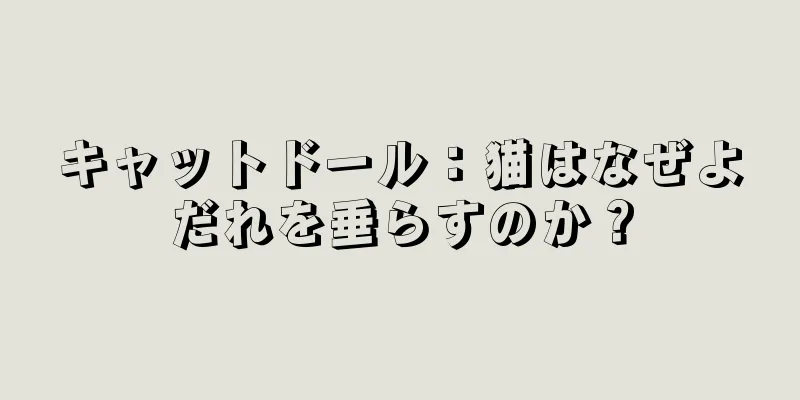 キャットドール：猫はなぜよだれを垂らすのか？
