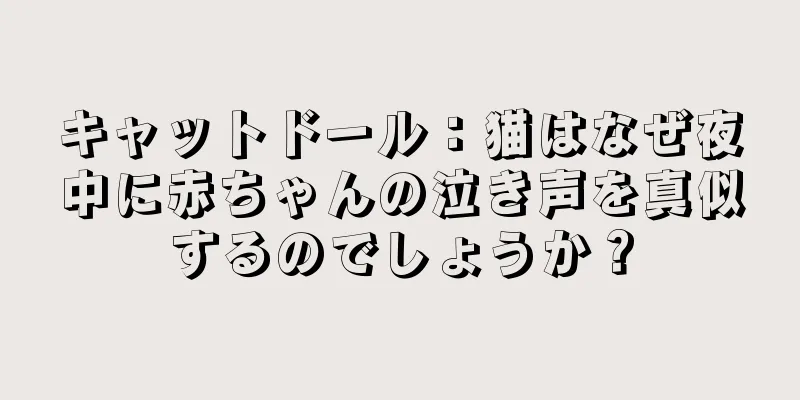キャットドール：猫はなぜ夜中に赤ちゃんの泣き声を真似するのでしょうか？