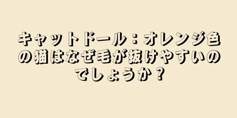 キャットドール：オレンジ色の猫はなぜ毛が抜けやすいのでしょうか？