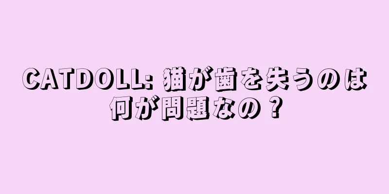 CATDOLL: 猫が歯を失うのは何が問題なの？