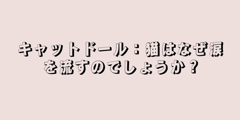 キャットドール：猫はなぜ涙を流すのでしょうか？