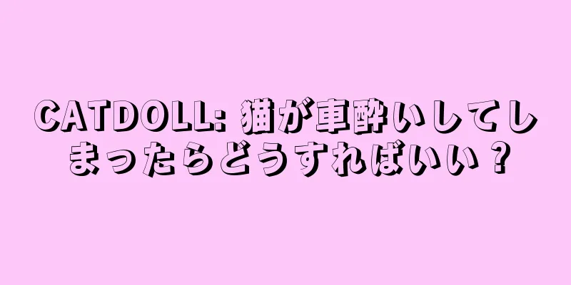 CATDOLL: 猫が車酔いしてしまったらどうすればいい？