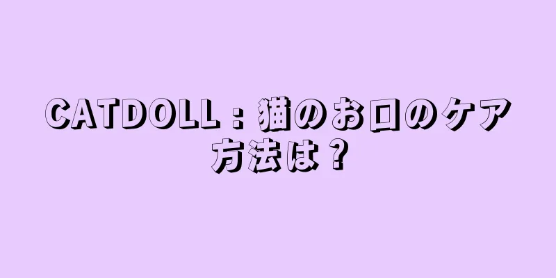 CATDOLL : 猫のお口のケア方法は？