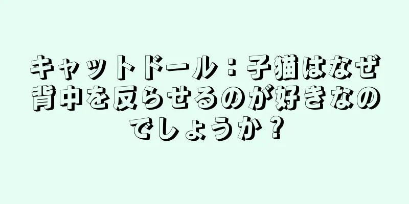 キャットドール：子猫はなぜ背中を反らせるのが好きなのでしょうか？