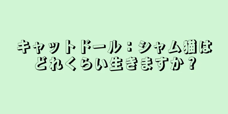 キャットドール：シャム猫はどれくらい生きますか？