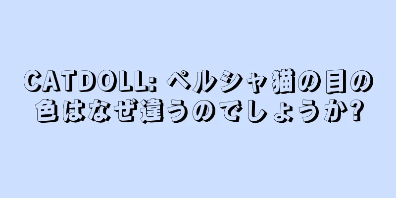 CATDOLL: ペルシャ猫の目の色はなぜ違うのでしょうか?