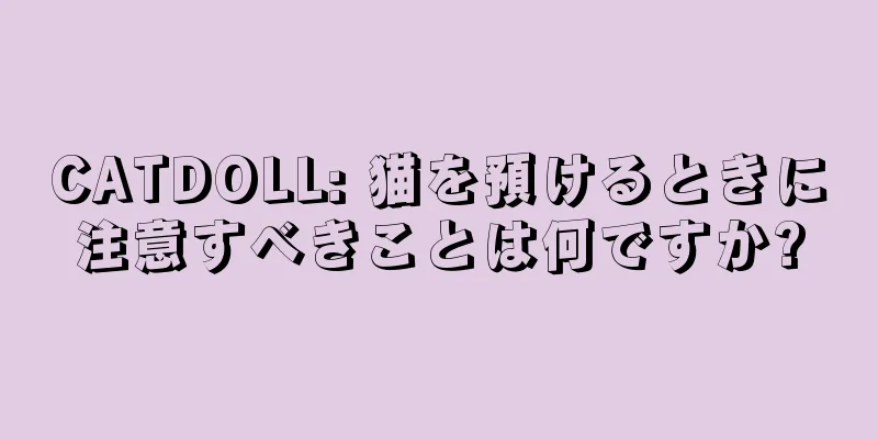 CATDOLL: 猫を預けるときに注意すべきことは何ですか?