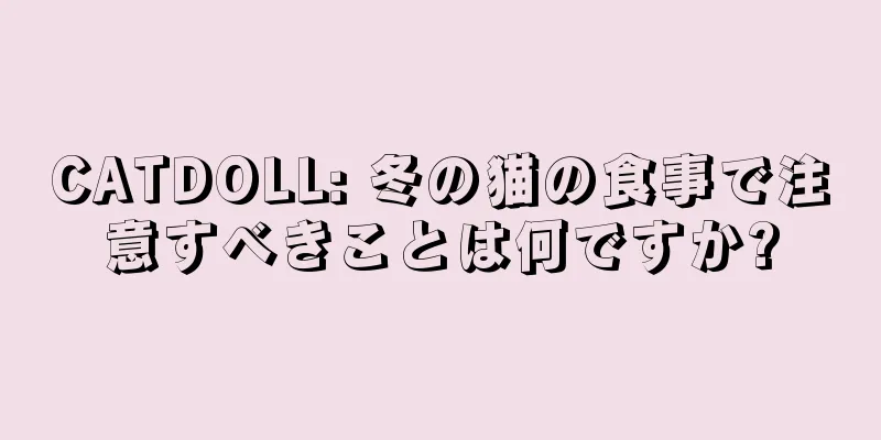 CATDOLL: 冬の猫の食事で注意すべきことは何ですか?