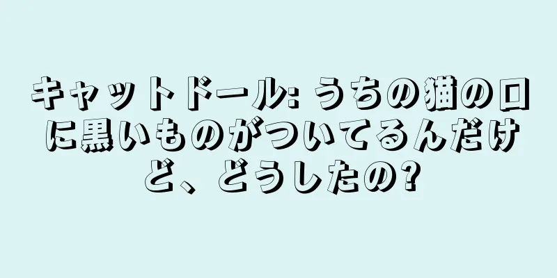 キャットドール: うちの猫の口に黒いものがついてるんだけど、どうしたの?