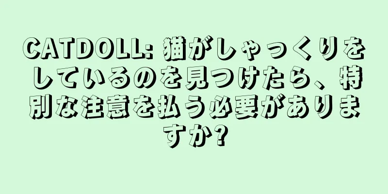 CATDOLL: 猫がしゃっくりをしているのを見つけたら、特別な注意を払う必要がありますか?