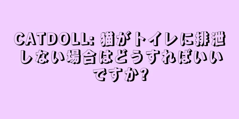 CATDOLL: 猫がトイレに排泄しない場合はどうすればいいですか?