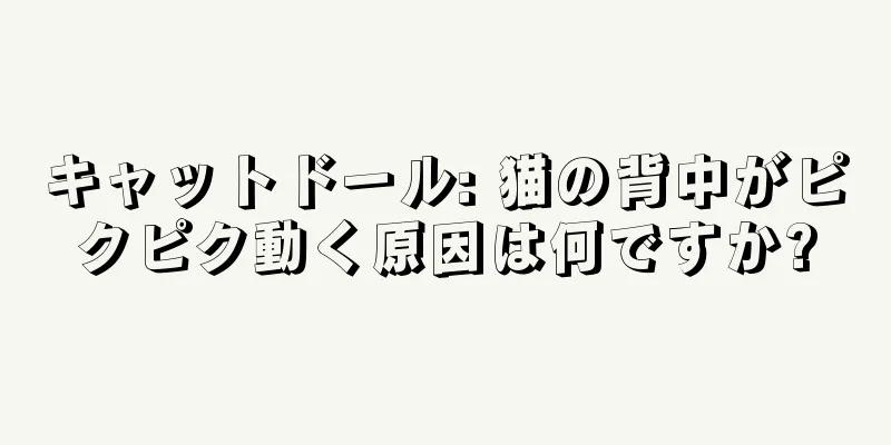 キャットドール: 猫の背中がピクピク動く原因は何ですか?