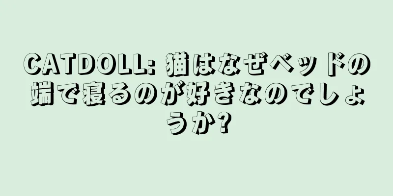 CATDOLL: 猫はなぜベッドの端で寝るのが好きなのでしょうか?