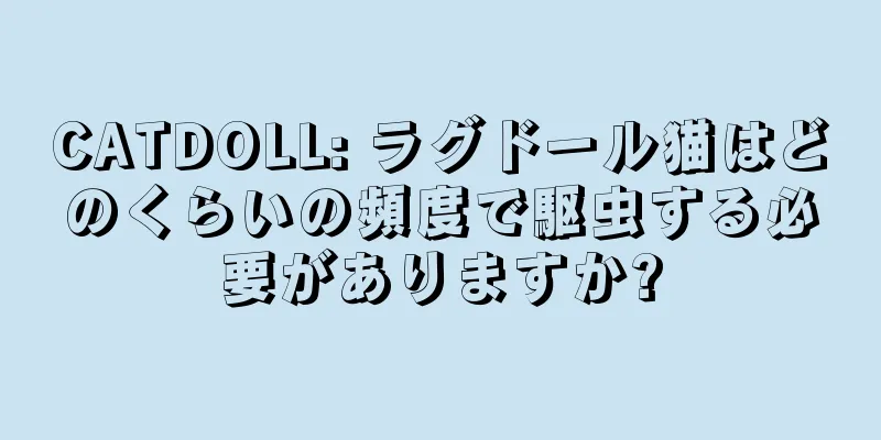 CATDOLL: ラグドール猫はどのくらいの頻度で駆虫する必要がありますか?