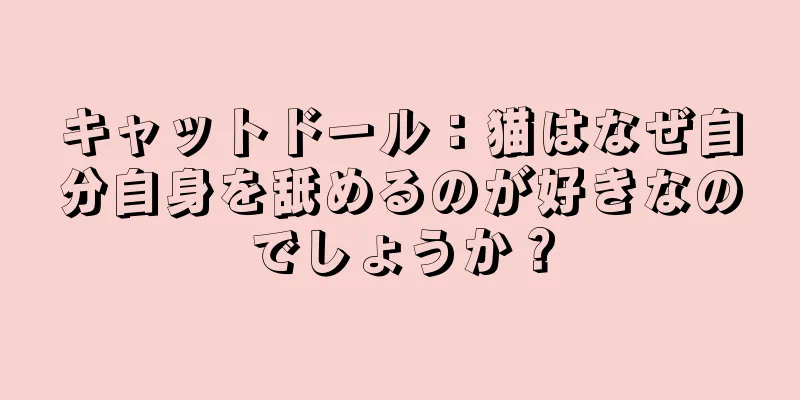 キャットドール：猫はなぜ自分自身を舐めるのが好きなのでしょうか？