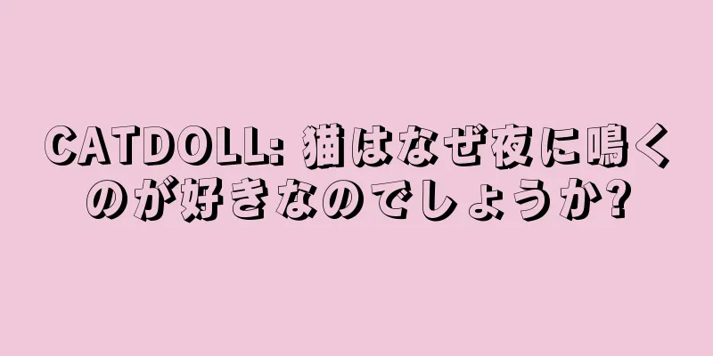 CATDOLL: 猫はなぜ夜に鳴くのが好きなのでしょうか?
