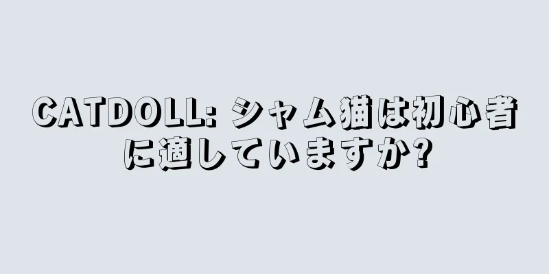 CATDOLL: シャム猫は初心者に適していますか?