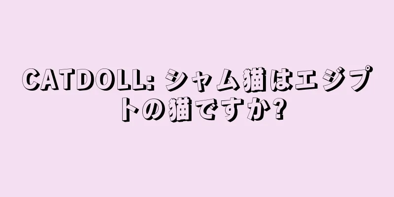 CATDOLL: シャム猫はエジプトの猫ですか?