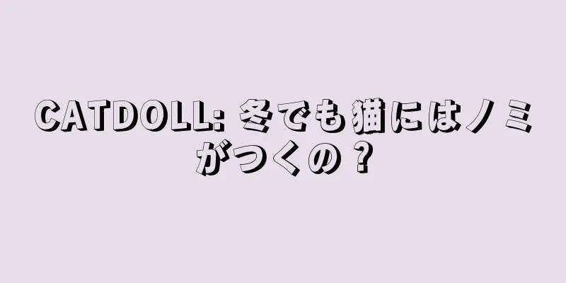 CATDOLL: 冬でも猫にはノミがつくの？