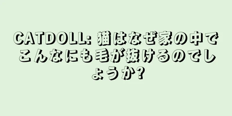 CATDOLL: 猫はなぜ家の中でこんなにも毛が抜けるのでしょうか?