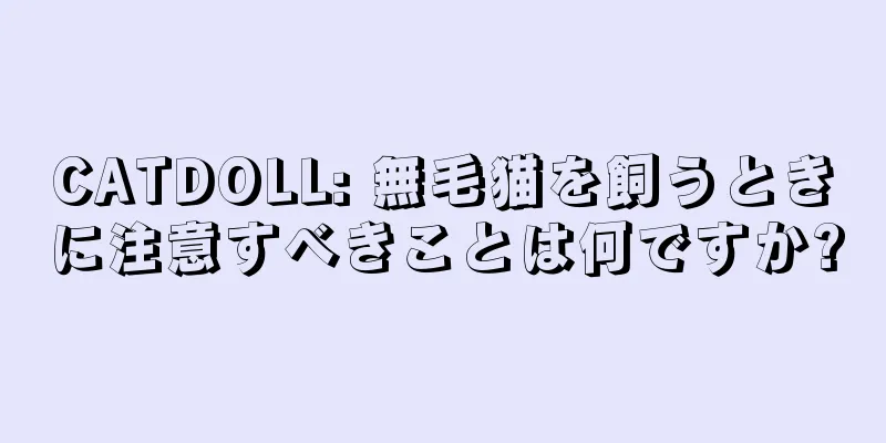 CATDOLL: 無毛猫を飼うときに注意すべきことは何ですか?