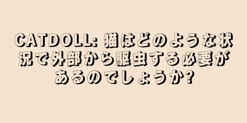 CATDOLL: 猫はどのような状況で外部から駆虫する必要があるのでしょうか?
