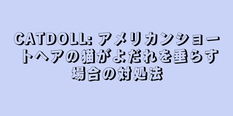 CATDOLL: アメリカンショートヘアの猫がよだれを垂らす場合の対処法