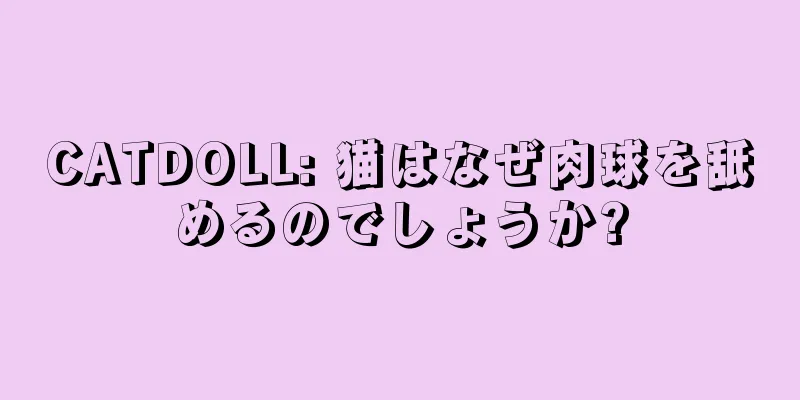 CATDOLL: 猫はなぜ肉球を舐めるのでしょうか?