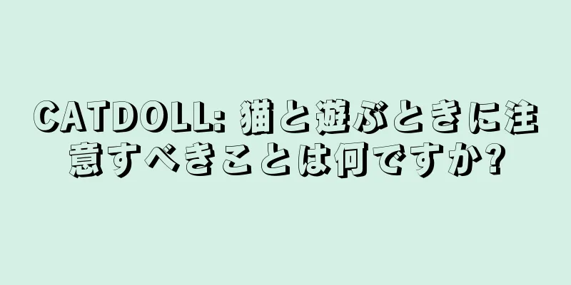 CATDOLL: 猫と遊ぶときに注意すべきことは何ですか?