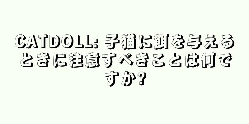 CATDOLL: 子猫に餌を与えるときに注意すべきことは何ですか?