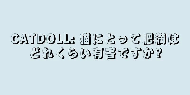 CATDOLL: 猫にとって肥満はどれくらい有害ですか?