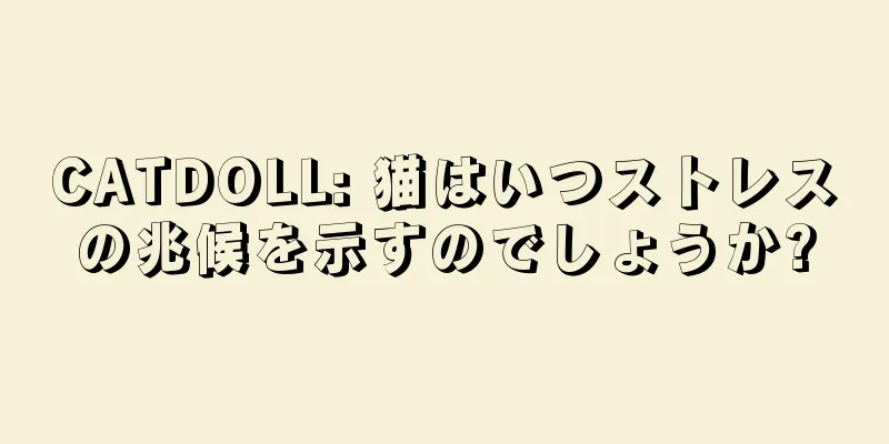 CATDOLL: 猫はいつストレスの兆候を示すのでしょうか?