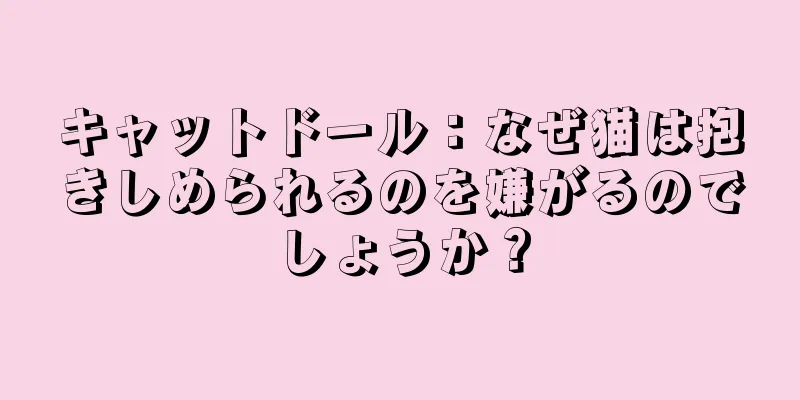 キャットドール：なぜ猫は抱きしめられるのを嫌がるのでしょうか？