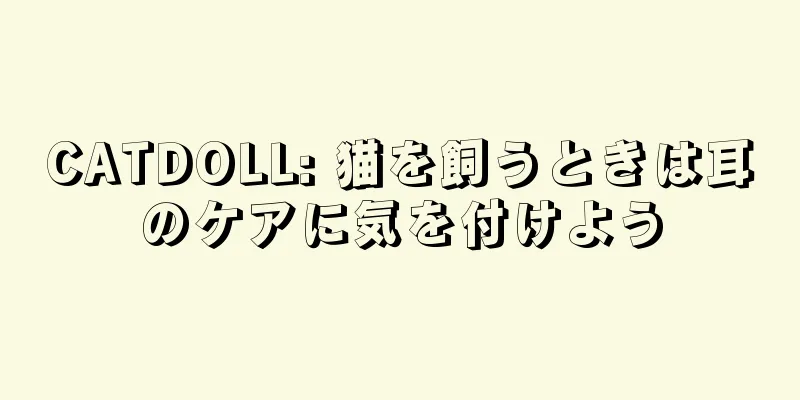CATDOLL: 猫を飼うときは耳のケアに気を付けよう