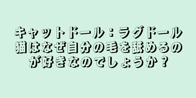 キャットドール：ラグドール猫はなぜ自分の毛を舐めるのが好きなのでしょうか？