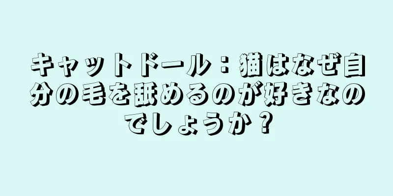 キャットドール：猫はなぜ自分の毛を舐めるのが好きなのでしょうか？