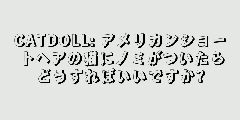 CATDOLL: アメリカンショートヘアの猫にノミがついたらどうすればいいですか?