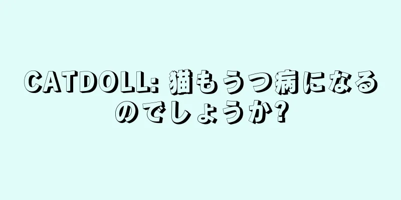 CATDOLL: 猫もうつ病になるのでしょうか?
