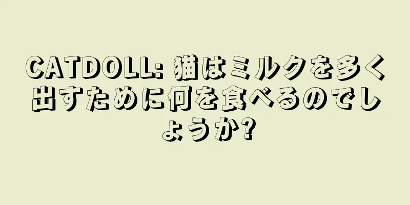 CATDOLL: 猫はミルクを多く出すために何を食べるのでしょうか?