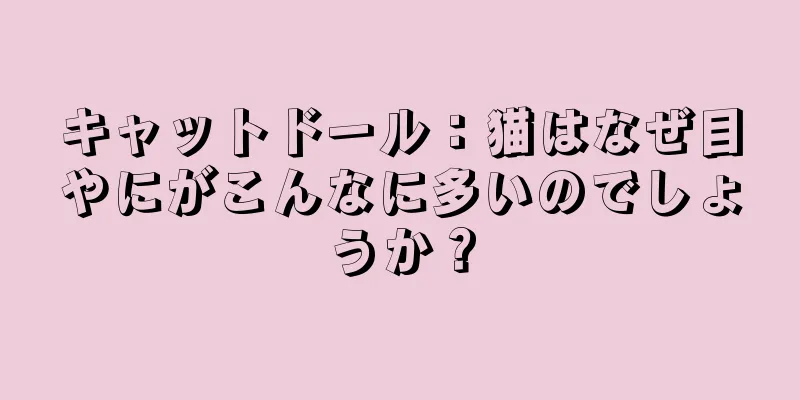 キャットドール：猫はなぜ目やにがこんなに多いのでしょうか？