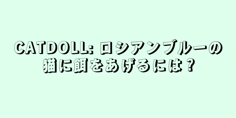 CATDOLL: ロシアンブルーの猫に餌をあげるには？