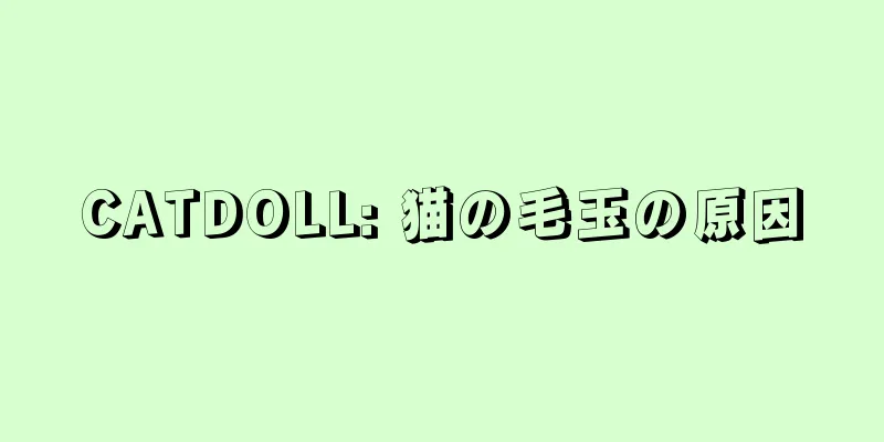 CATDOLL: 猫の毛玉の原因