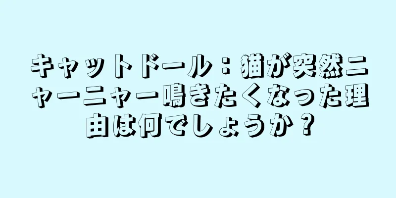 キャットドール：猫が突然ニャーニャー鳴きたくなった理由は何でしょうか？