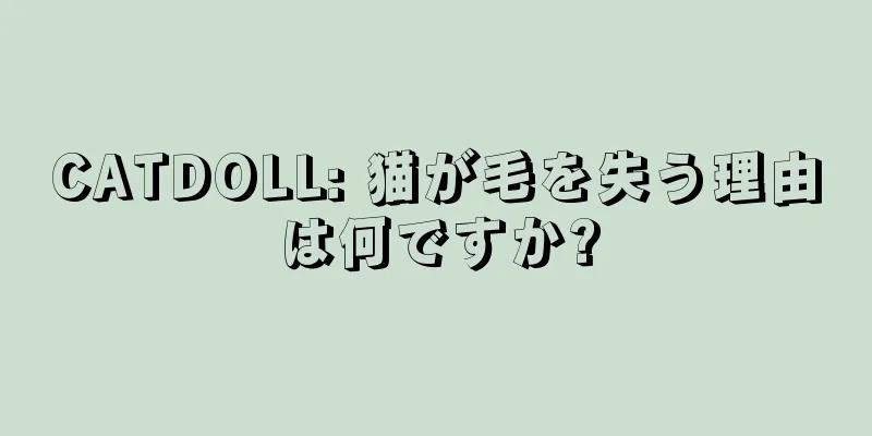 CATDOLL: 猫が毛を失う理由は何ですか?