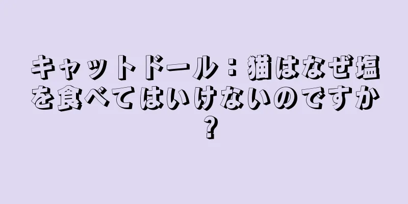 キャットドール：猫はなぜ塩を食べてはいけないのですか？