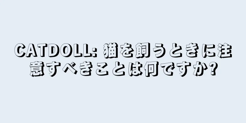 CATDOLL: 猫を飼うときに注意すべきことは何ですか?